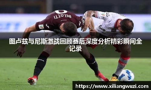 图卢兹与尼斯激战回顾赛后深度分析精彩瞬间全记录
